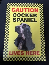 ATTENZIONE COCKER SPANIEL VIVE