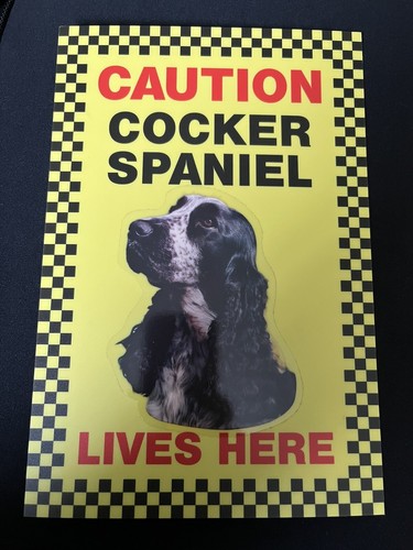Caution cocker spaniel lives - caution,