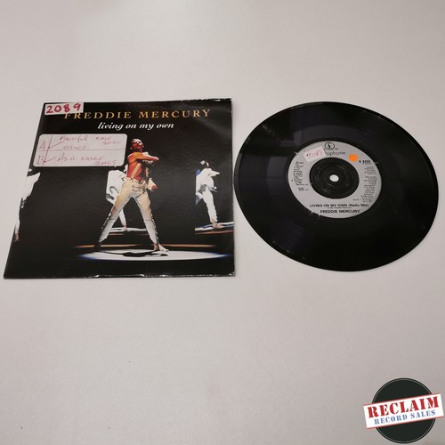 Freddie mercury living - freddie, my