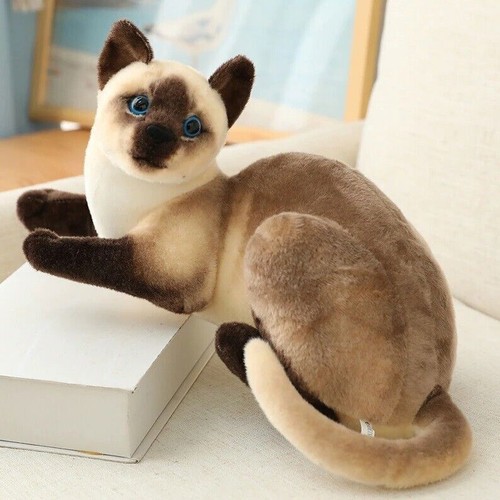 Peluche gatto siamese