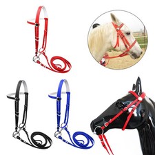 Briglia per cavallo con