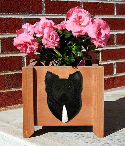 Vaso per fiori - per, chihuahua