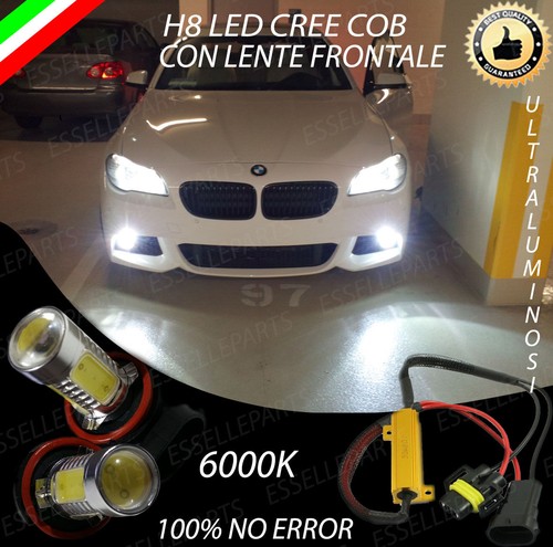 Coppia lampade fendinebbia - coppia,