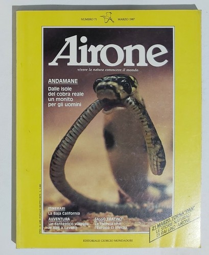 02582 airone vii - a.,