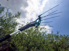 Abbacchiatore elettrico