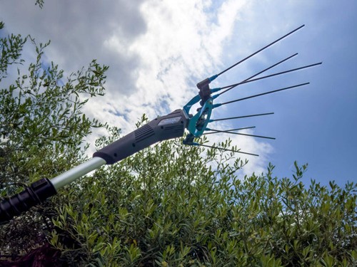 Abbacchiatore elettrico