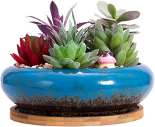Vaso per piante grasse - vaso, grasse,