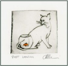 Gatto guardando pesce - gatto, rosso