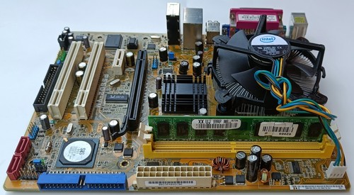 Scheda madre asus - madre,