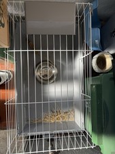 Gabbia Per Conigli Nani 