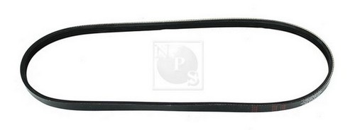 Cinghia poly per golf iv - cinghia,