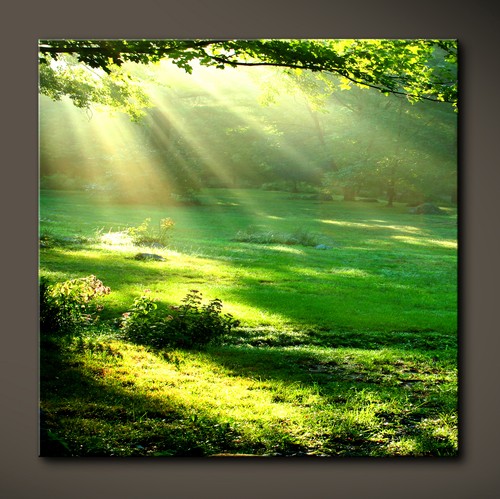 Daylight immagine tela verde - daylight,