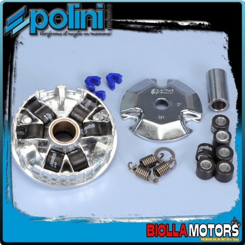 241 301 variatore - 241.301, polini