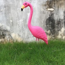 2 realistici fenicotteri