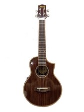 Chitarra acustica Ibanez