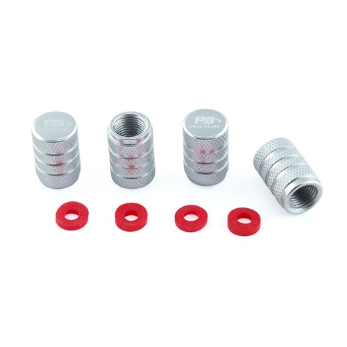 Tappi valvola polvere argento - tappi,