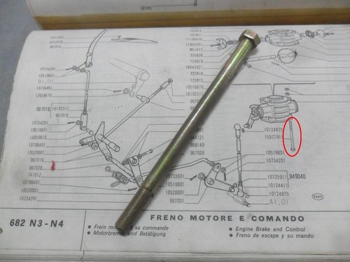 Perno freno motore - perno,