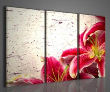 QUADRI MODERNI LILLY QUADRO