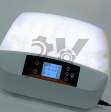 1PCS Incubatrice Digitale