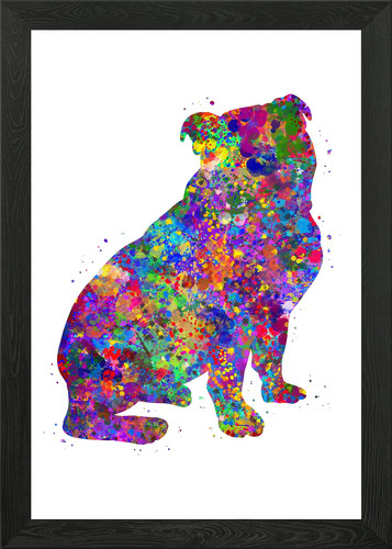 English bulldog puppy dog - english,