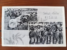 SAN GIACOMO VERCELLESE - VERCELLI - SALUTI DALLA RISAIA - FP BN VG 1955