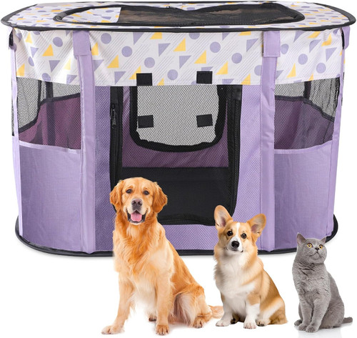 Recinto per cani interno - recinto,