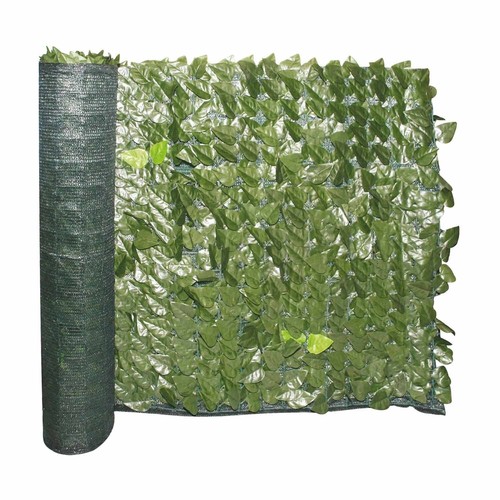 Edera basic siepe - -,