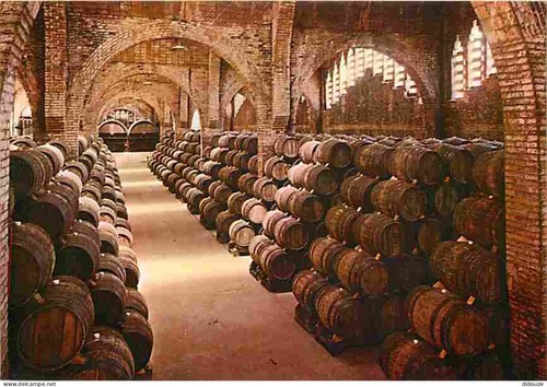 Carte postale vignes caves - -,