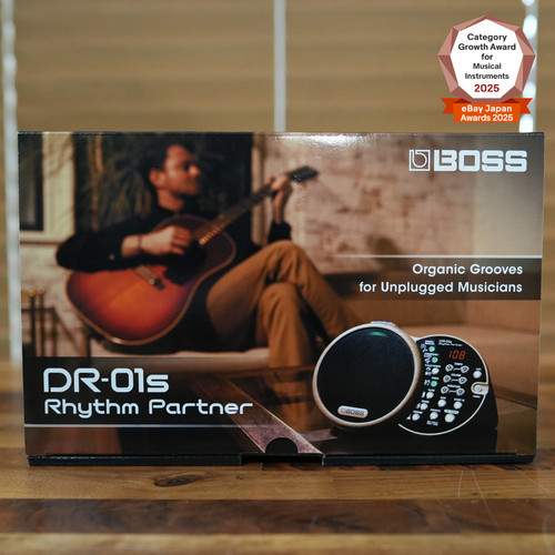 Boss 01s rhythm partner - dr-01s,