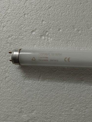 Pz10 lampade neon t8 - ,