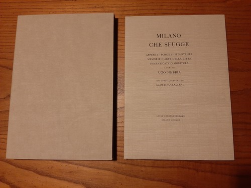 Milano che sfugge - ugo, nebbia