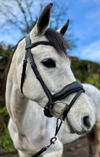 Briglia snaffle comfort flash - snaffle,