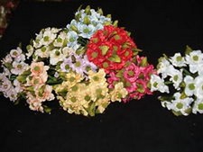 Papaveri fiori fiorellini - papaveri,