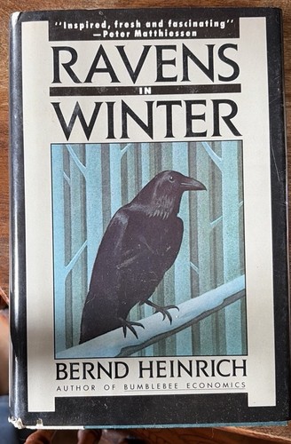 Ravens winter bernd - in,
