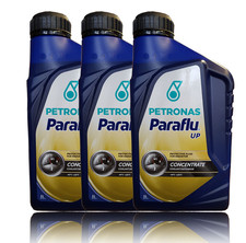 Paraflu UP liquido