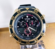 Citizen Promaster World Time Solar Diver Style Black Dial Outdoor Watch