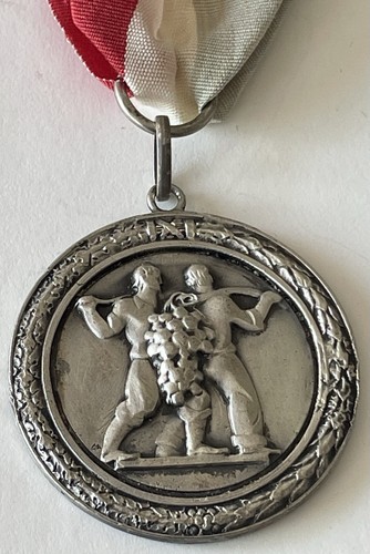 Medaglia premio ministero - medaglia,