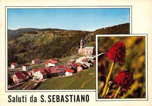 Cartolina san sebastiano - san,