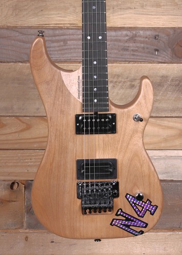 Washburn nuno bettencourt - washburn,