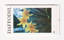 Prova di stampa test libretto