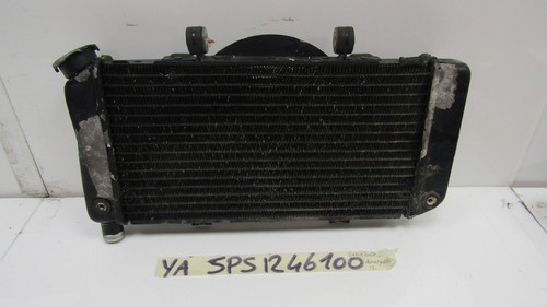 Radiatore acqua water radiator - radiatore,