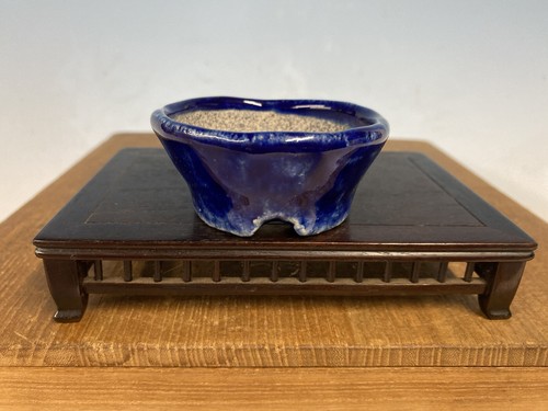 Vaso per bonsai shohin - bonsai,