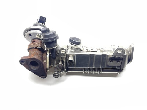 Scambiatore calore egr per - di,
