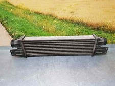 2371008051 SSANGYONG REXTON RX