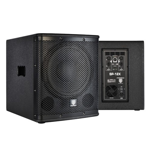 Proreck 12x 1000w - proreck, powered