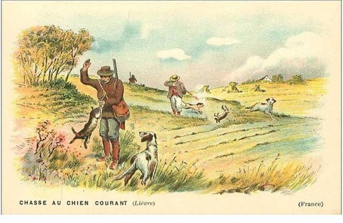 Caccia cane - caccia., al