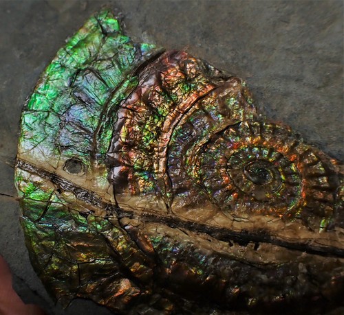 Stunning green multi coloured - stunning, multi-coloured