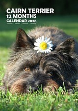 Calendari Cairn Terrier 2026