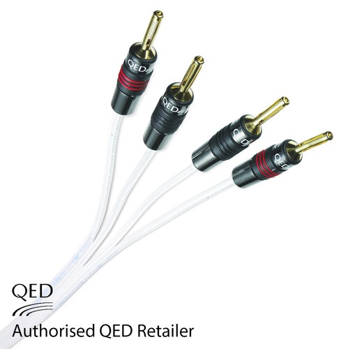 Qed silver anniversary cavo - silver, xt
