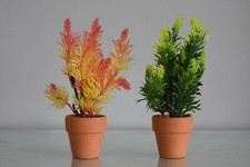 2 extra Small Ceramica IN Vaso